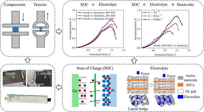 Graphical abstract for the effects of electrolyte, state of charge, and strain rate on electrode and separator mechanics